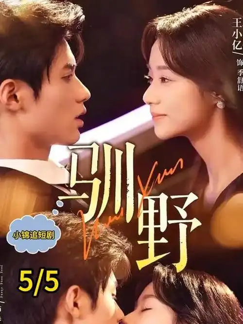 剧集在线看 雾港档案
